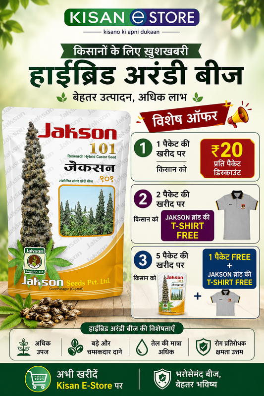 Castor / Aerandi Research Hybrid Jakson 101  Seed