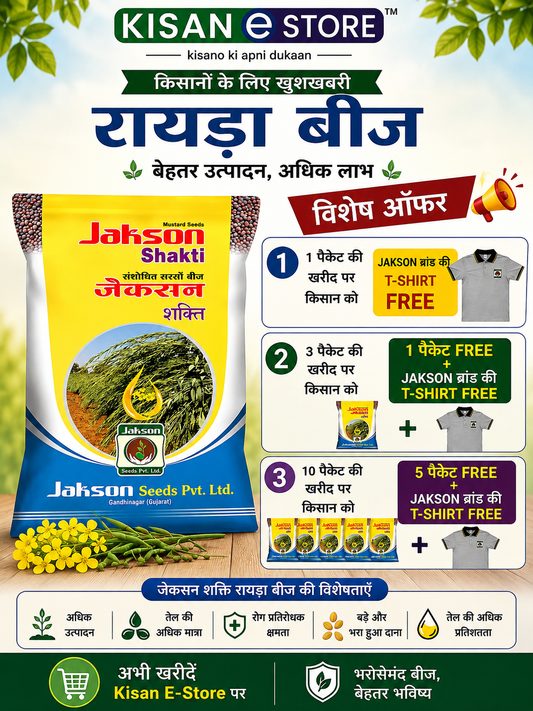 Mustard / Sarson Jakson Shakti Research Seeds