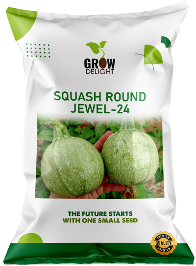 Grow Delight Imported Squash Round Jewel-24