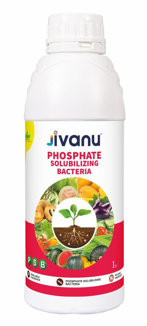 Green Revolution Jivanu Phosphate Solubilizing Bacteria (PSB) Liquid - 1 Litre