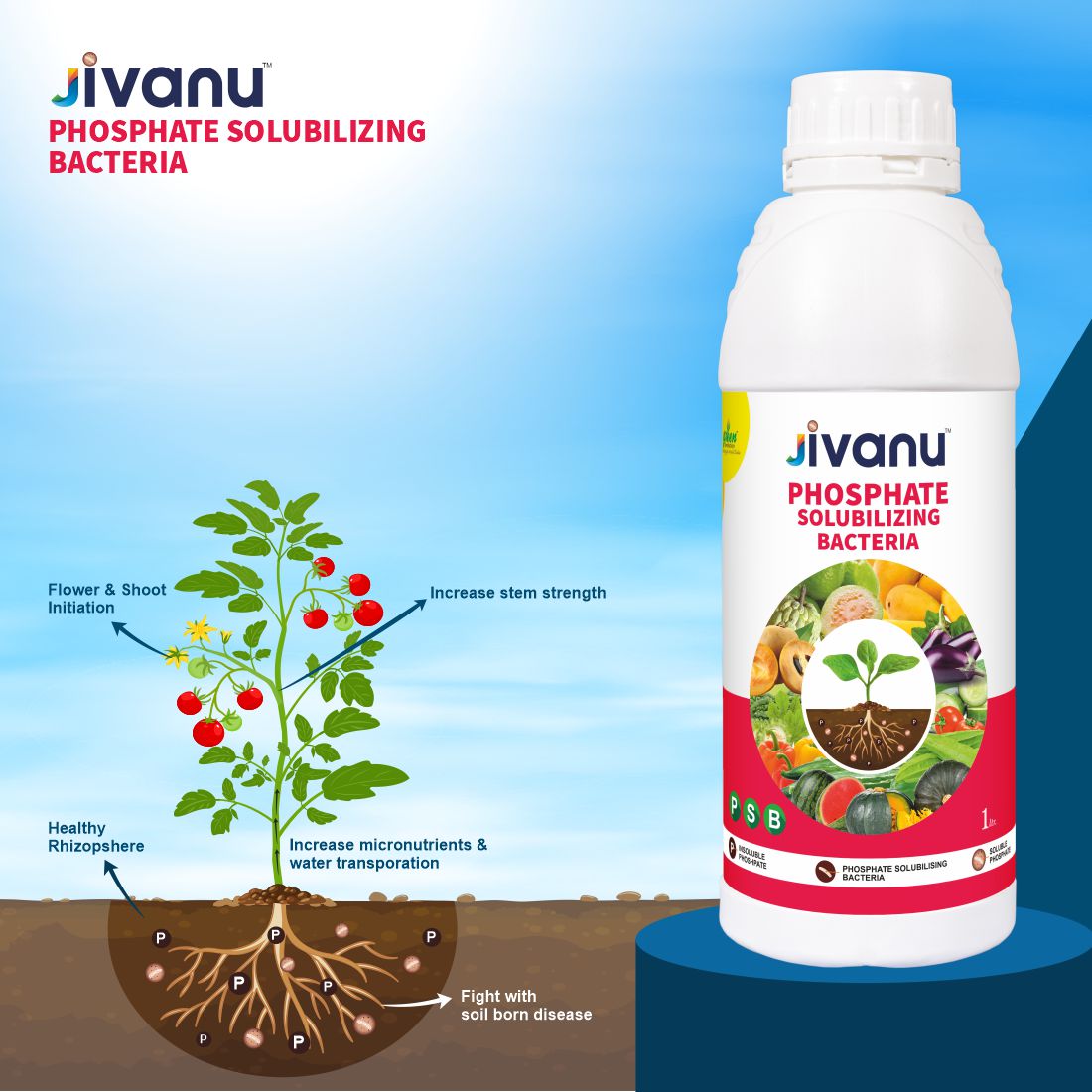 Green Revolution Jivanu Phosphate Solubilizing Bacteria (PSB) Liquid - 1 Litre