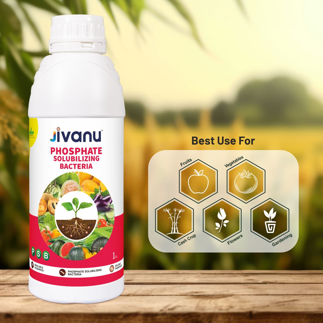 Green Revolution Jivanu Phosphate Solubilizing Bacteria (PSB) Liquid - 1 Litre