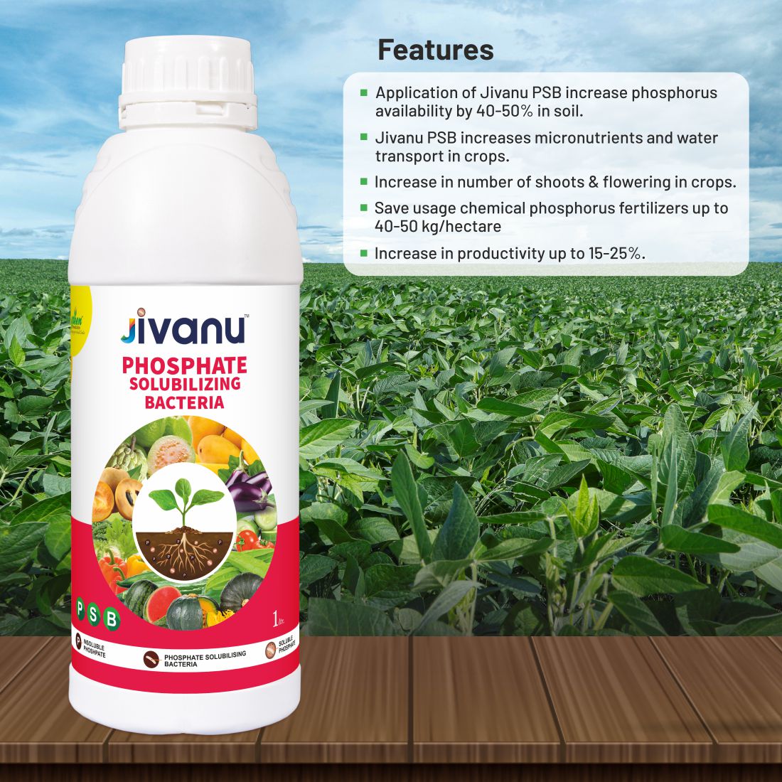Green Revolution Jivanu Phosphate Solubilizing Bacteria (PSB) Liquid - 1 Litre