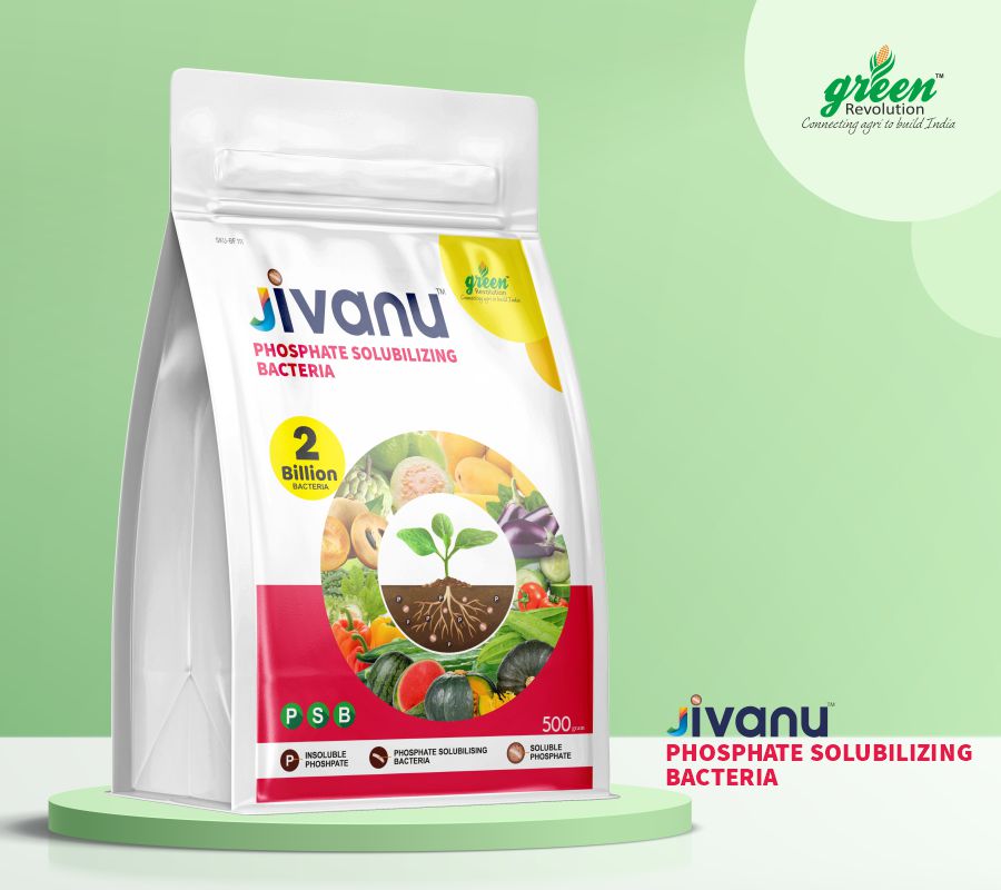 Green Revolution Jivanu Phosphate Solubilizing Bacteria (PSB)