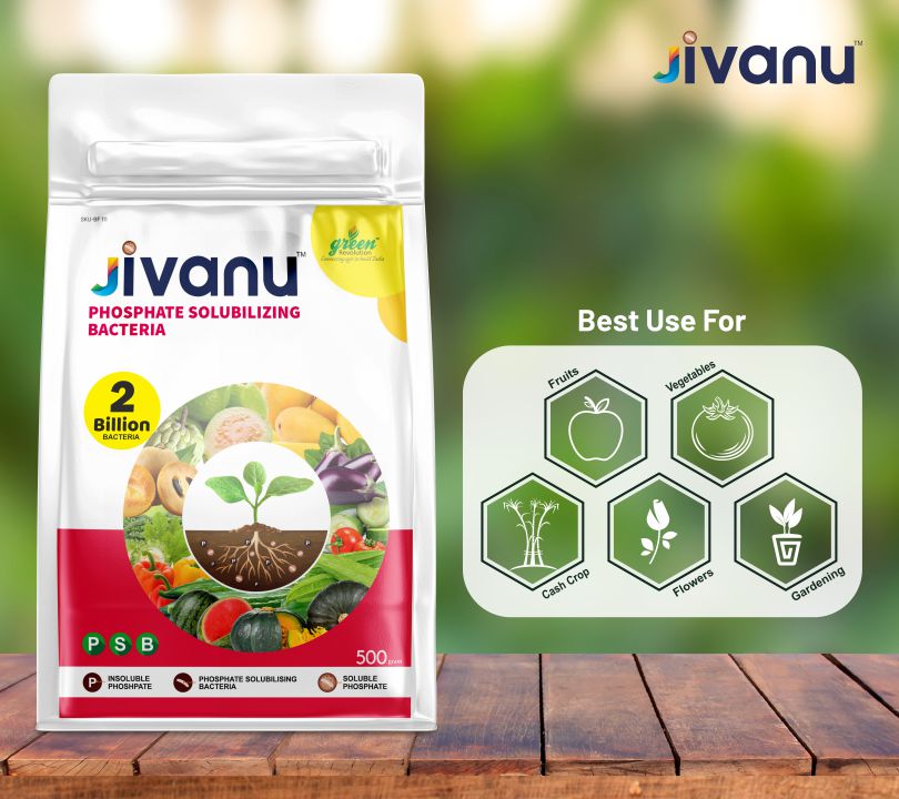 Green Revolution Jivanu Phosphate Solubilizing Bacteria (PSB)