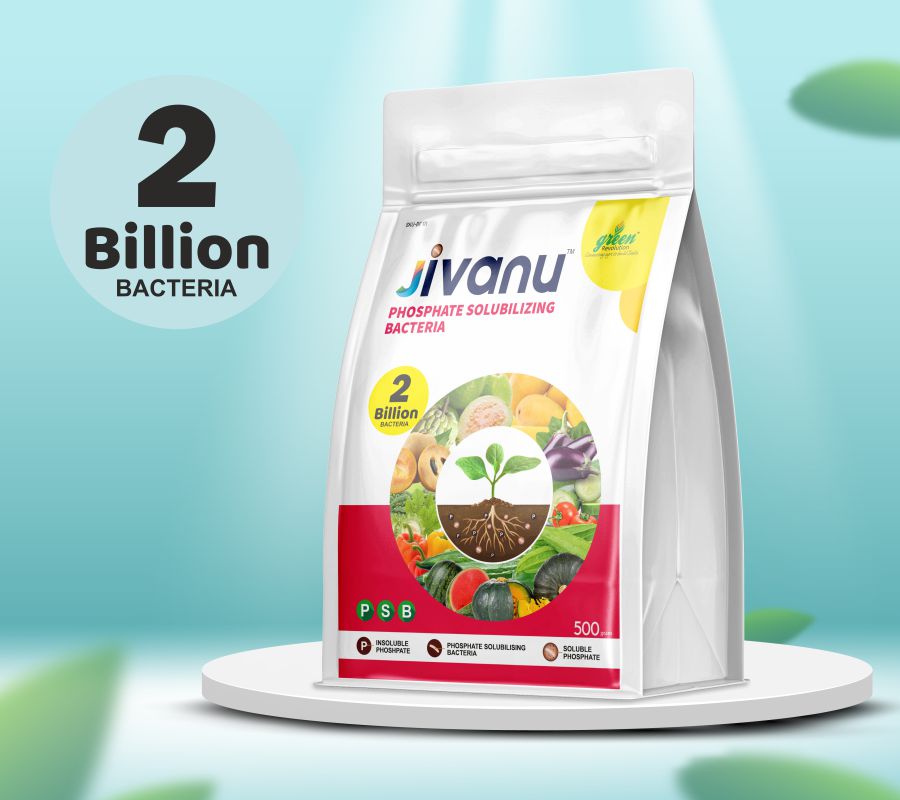 Green Revolution Jivanu Phosphate Solubilizing Bacteria (PSB)