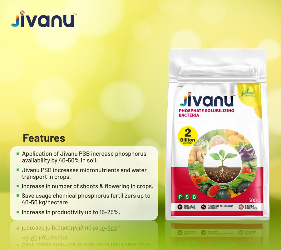 Green Revolution Jivanu Phosphate Solubilizing Bacteria (PSB)