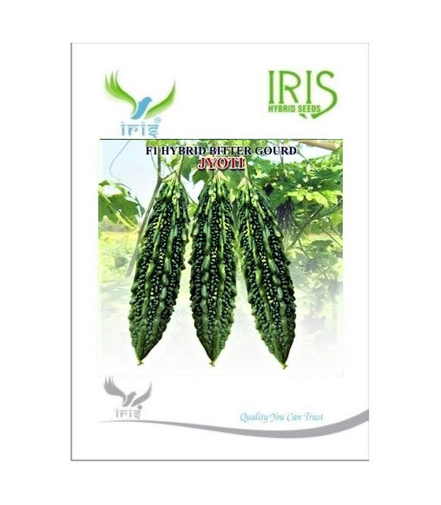 BitterGourd / Karela F1 Iris Jyoti