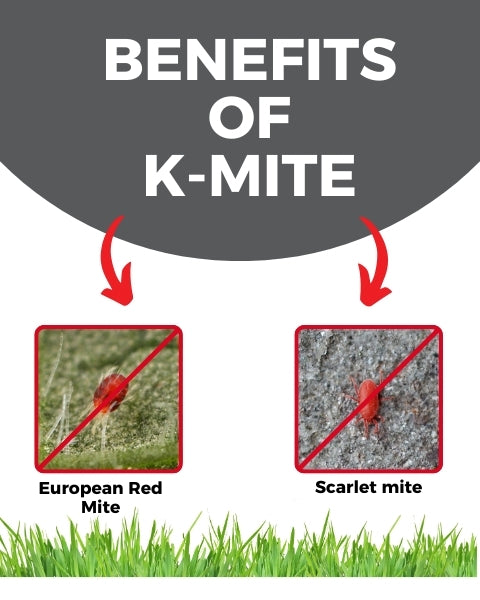 Katyayani K-Mite - Hexythiazox 5.45% EC | Insecticide
