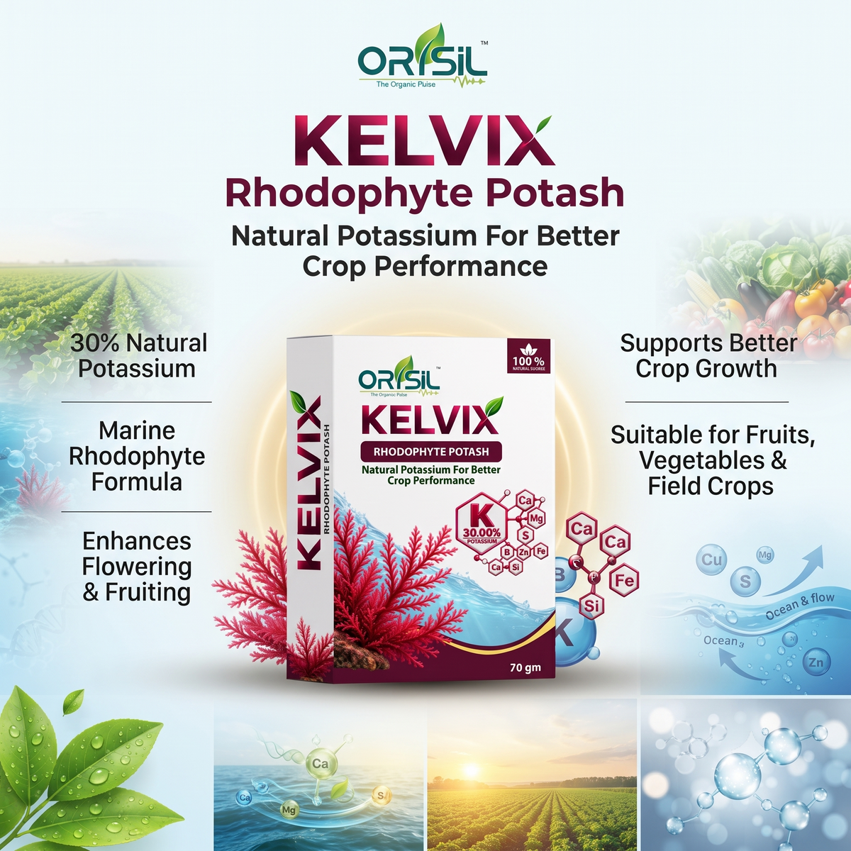 Annadata Orisil Kelvix Rhodophyte Potash K30%