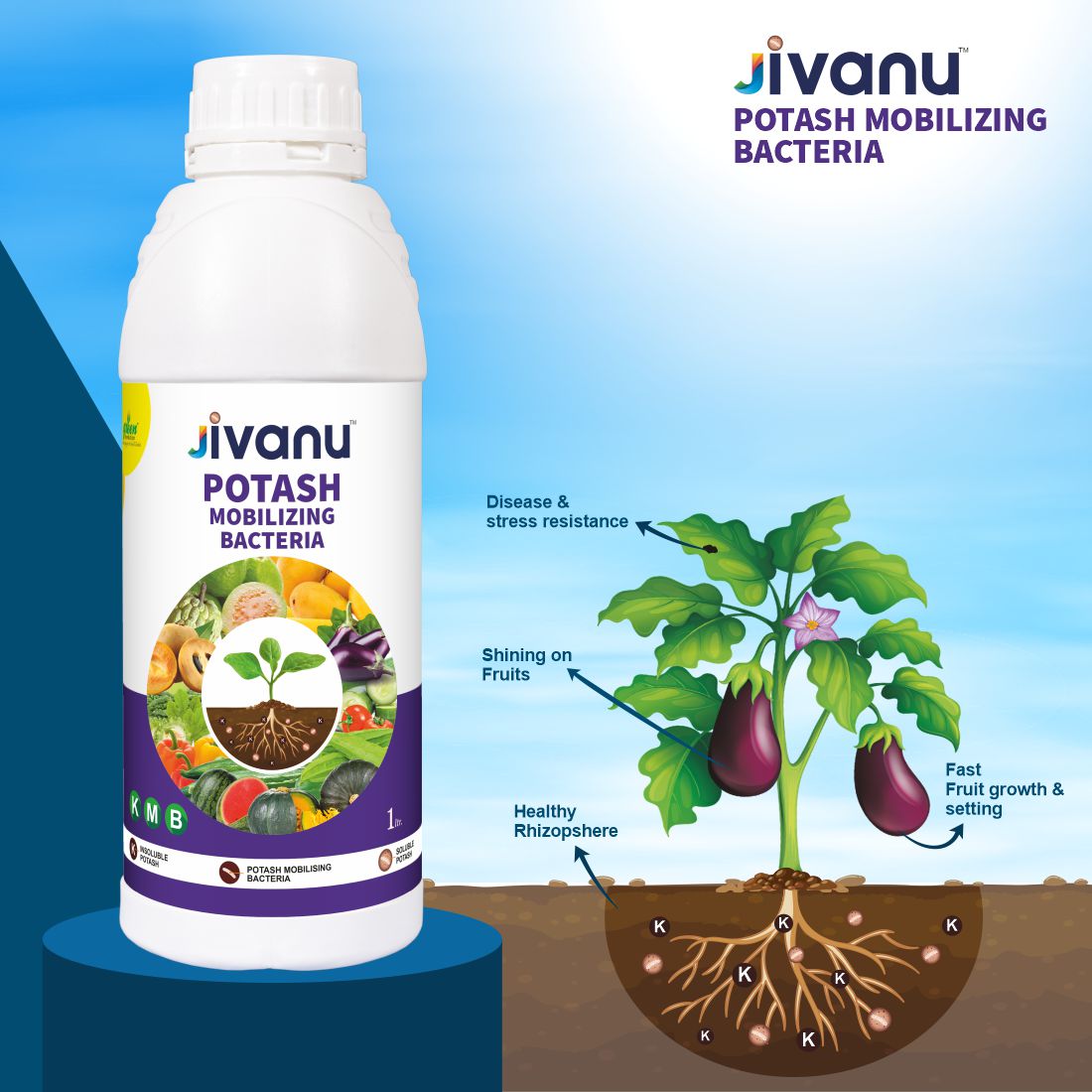 Green Revolution Jivanu Potassium Solubilizing and Mobilizing Bacteria (KMB) - 1 litre