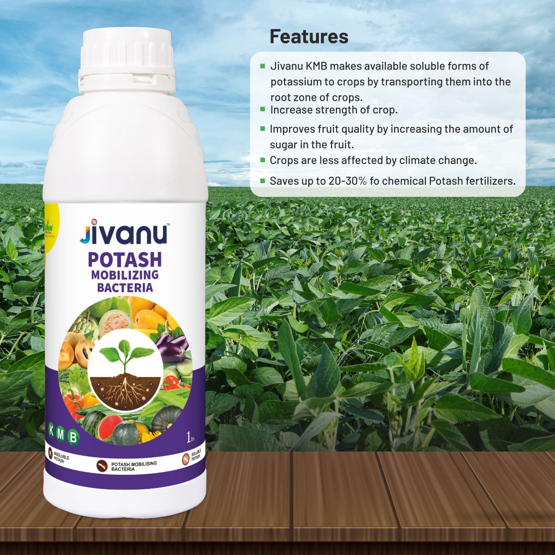 Green Revolution Jivanu Potassium Solubilizing and Mobilizing Bacteria (KMB) - 1 litre