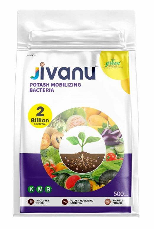 green Revolution Jivanu Potassium Solubilizing and Mobilizing Bacteria (KMB) - 500 grams