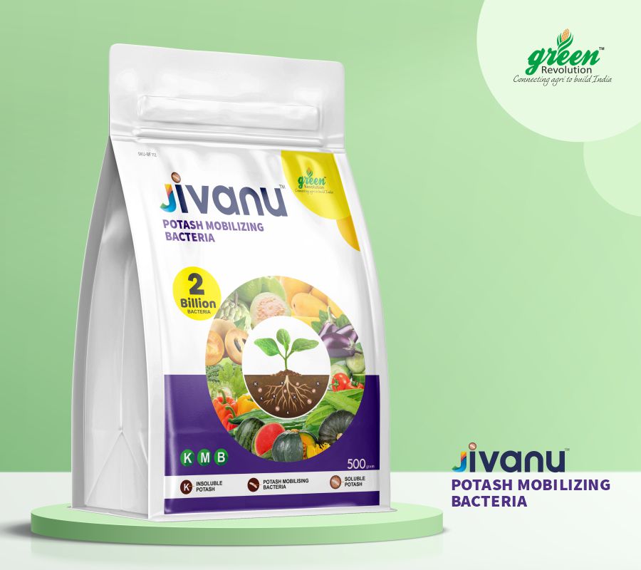 green Revolution Jivanu Potassium Solubilizing and Mobilizing Bacteria (KMB) - 500 grams