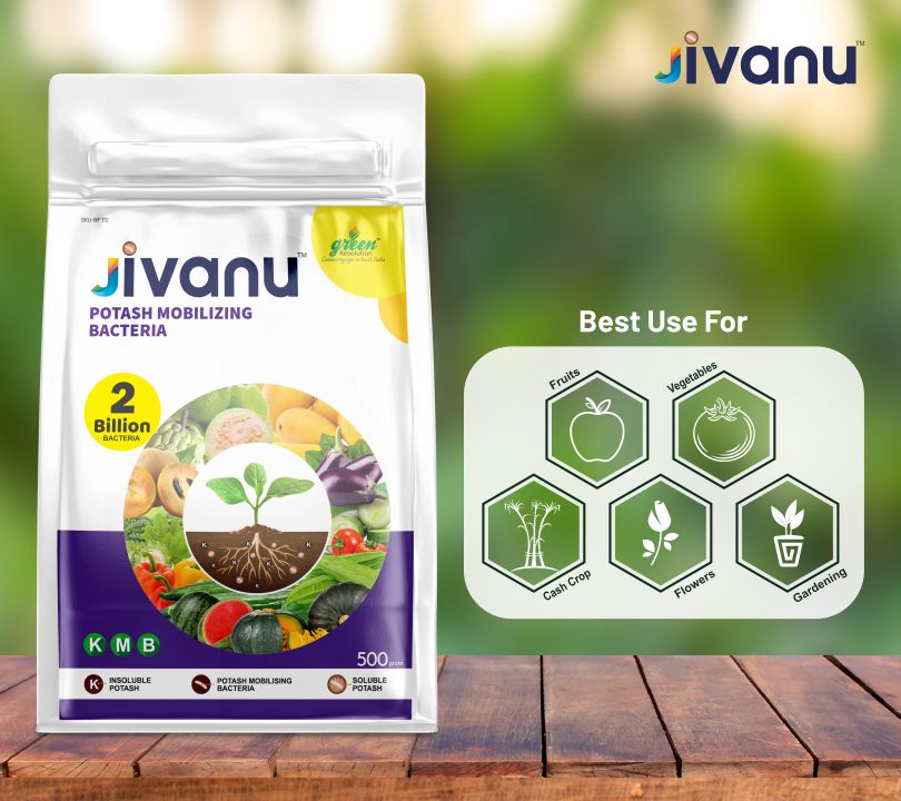 green Revolution Jivanu Potassium Solubilizing and Mobilizing Bacteria (KMB) - 500 grams