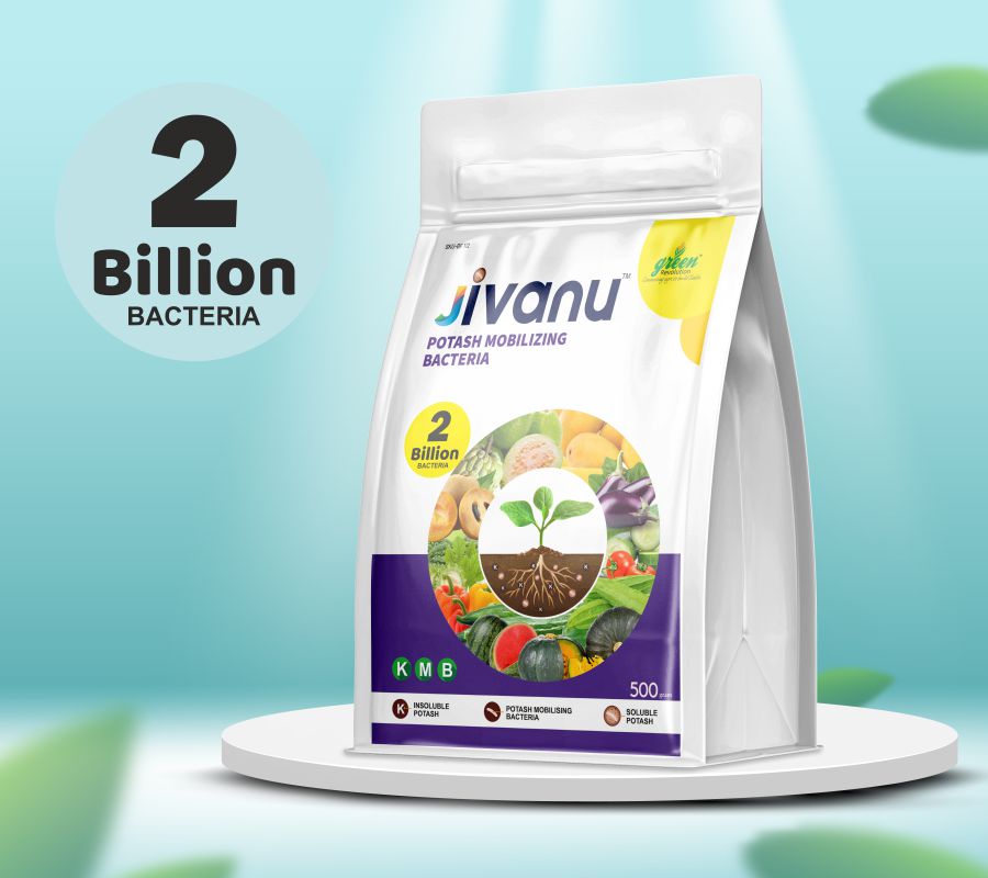 green Revolution Jivanu Potassium Solubilizing and Mobilizing Bacteria (KMB) - 500 grams