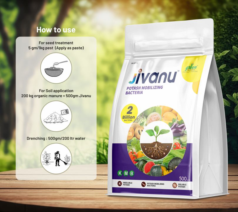 green Revolution Jivanu Potassium Solubilizing and Mobilizing Bacteria (KMB) - 500 grams