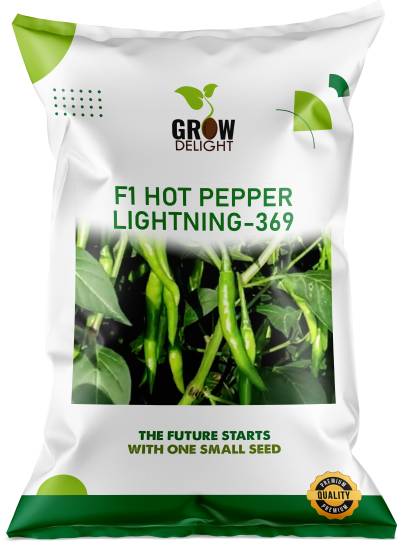 Chilli / Hot Pepper F1 Lightning-369