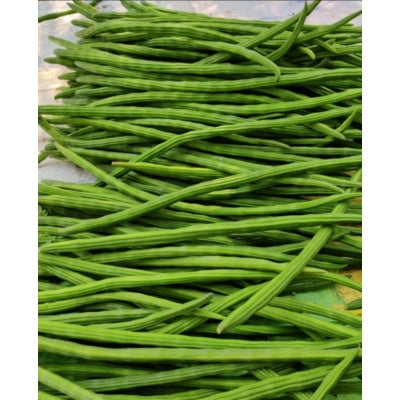 Agromate Moringa Drumstick Tree Seeds