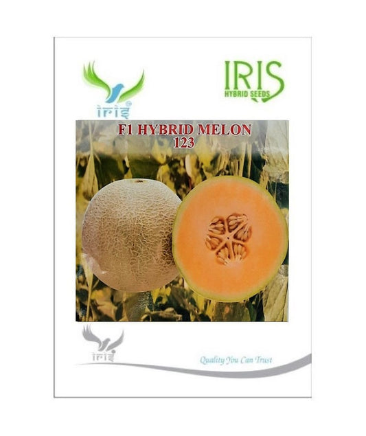 Muskmelon / Kharbooja F1 Iris Melon-123