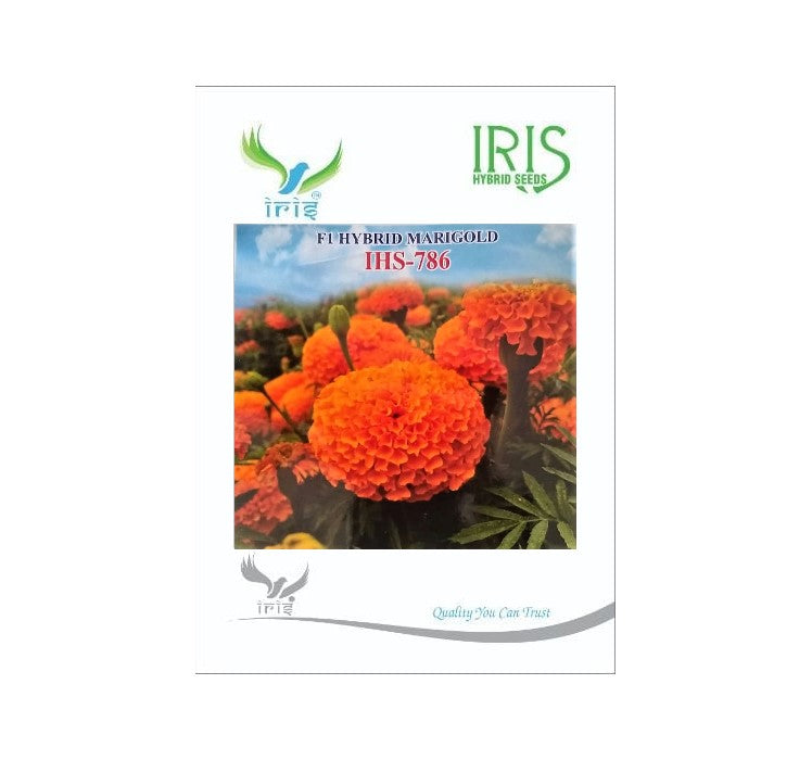 Marigold Orange Iris F1 IHS-786 - 100 seeds