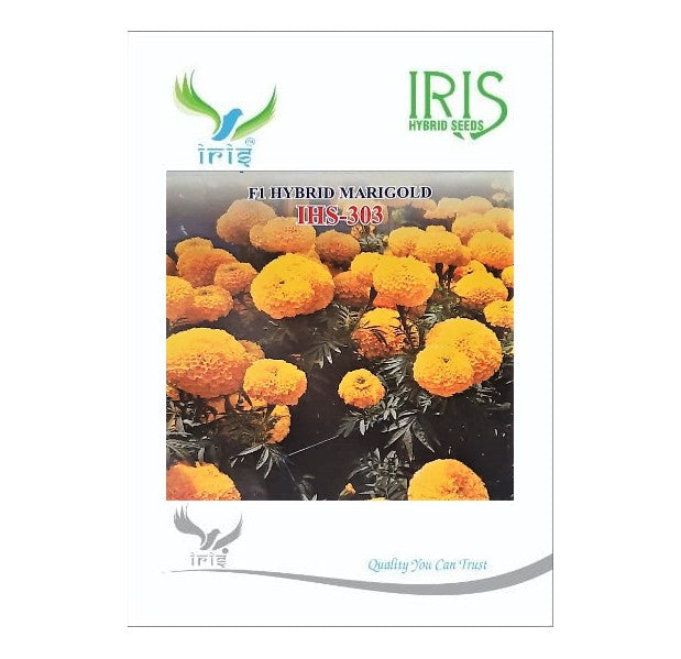 Marigold Yellow Iris F1 IHS-303 - 1000 seeds