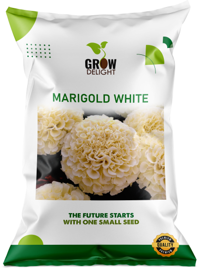 Grow Delight Imported Marigold White - 500 seeds