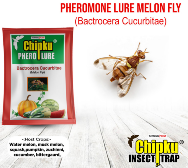 Chipku Pheromone Mac Phill Trap with Melon Fly Lure (Combo Pack of 5)