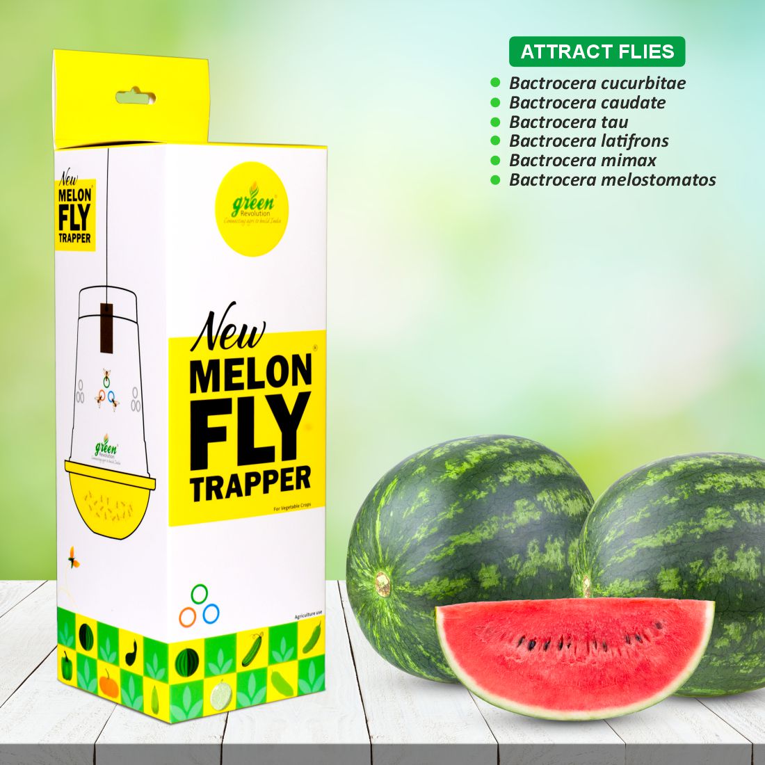 Green Revolution Melon Fly Trapper | 10 Melon Fly Lure with 10 TRI TRAP