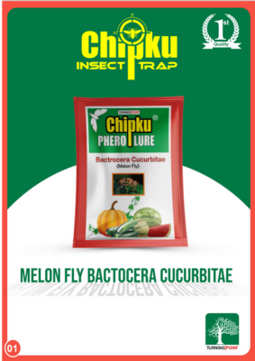 Chipku Pheromone Eco Trap with Melon Fly Lure (Combo Pack of 5)