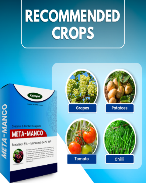 Katyayani Meta Manco - Metalaxyl 8% + Mancozeb 64% WP