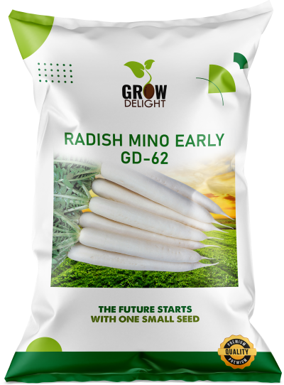 Grow Delight F1 Radish Mino Early GD-62