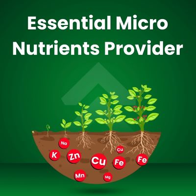 Katyayani Mix Micronutrient