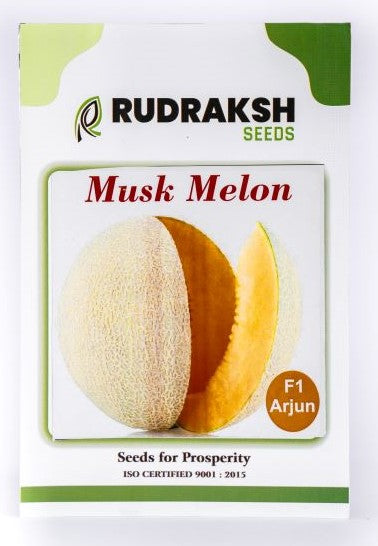Muskmelon / Kharbooja Arjun