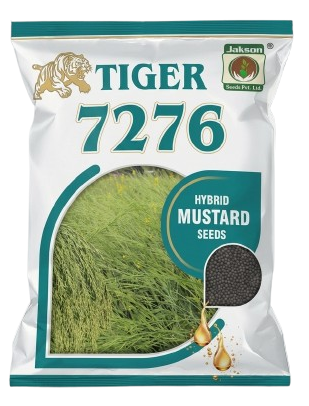 Jakson Tiger 7276 Hybrid Mustard Seeds