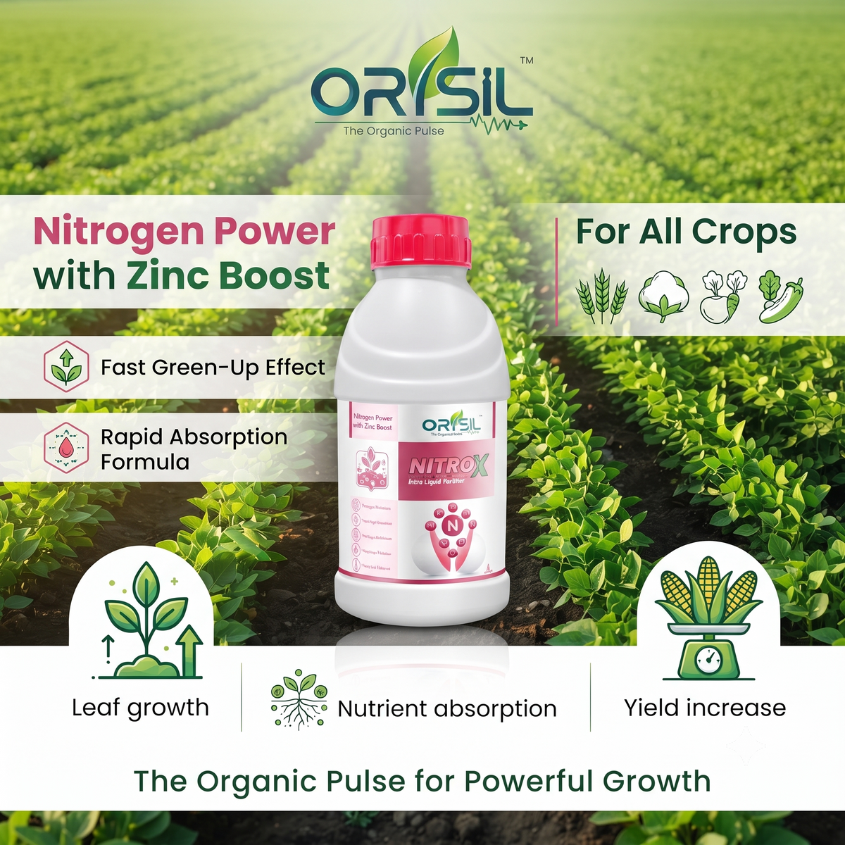Annadata Orisil Nitrox N46% Zn5% Urea Ammonium Nitrate With Zinc