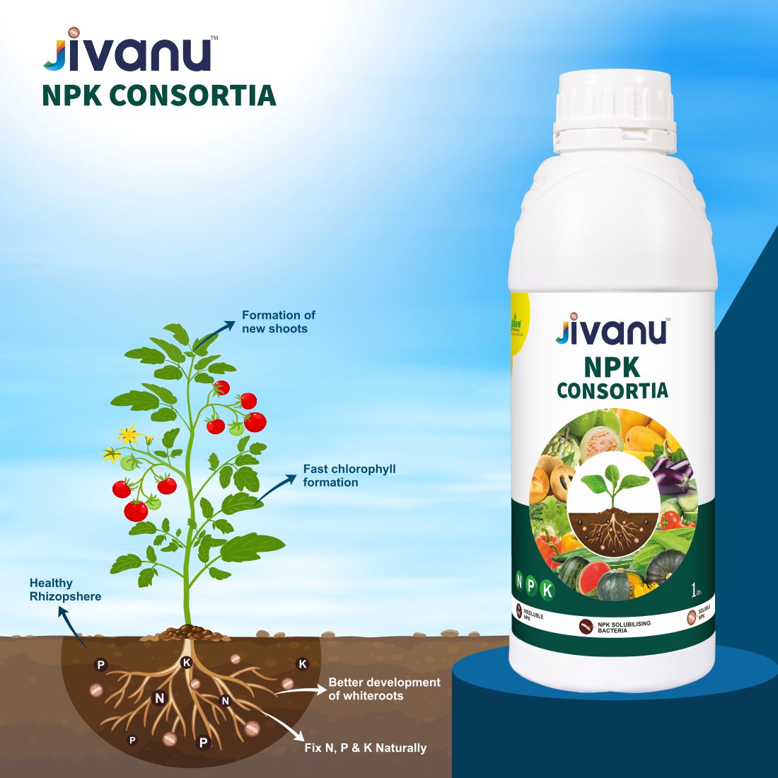 Green Revolution Jivanu NPK Consortia Bacteria Liquid - 1 Litre