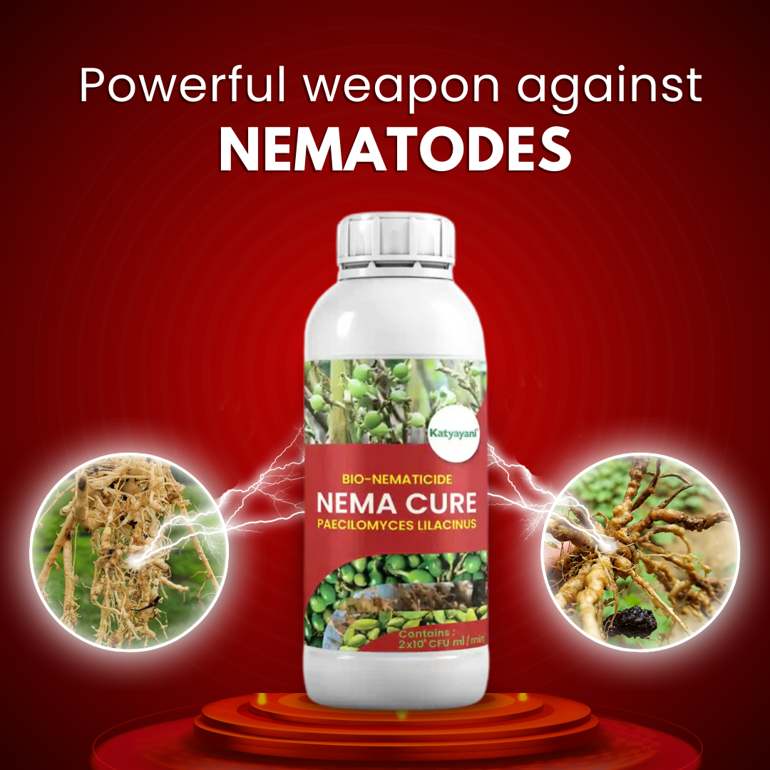 Katyayani Nema Cure - Paecilomyces Lilacinus - Bio Nematicide
