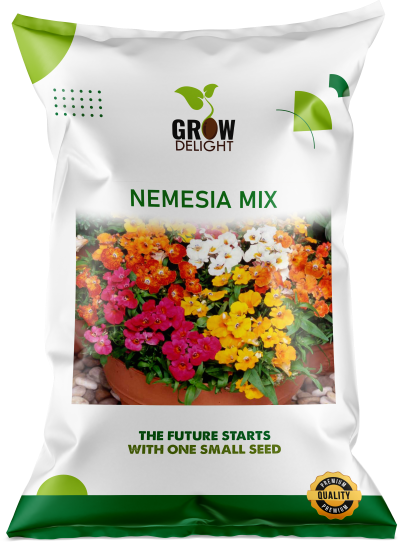 Grow Delight Imported Nemesia Mix - 200 seeds