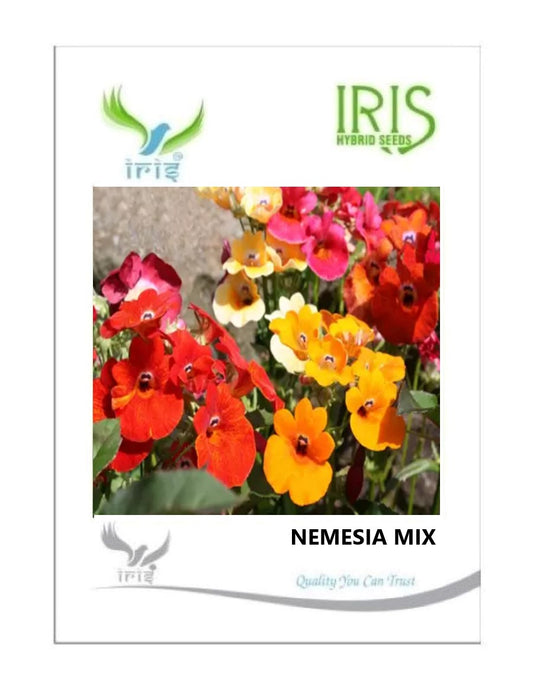 Iris Imported Namesia Mix