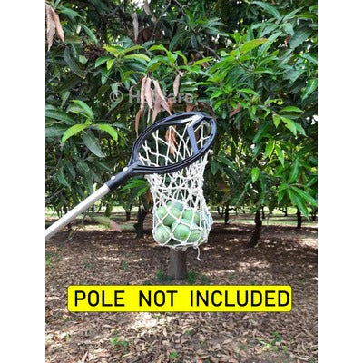 Mango Harvester FM01 Universal Fruit Picker (No pole)