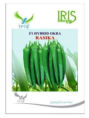 Okra / Lady Finger F1 Iris Rasika