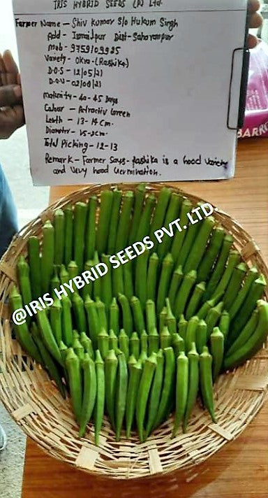 Okra / Lady Finger F1 Iris Rasika