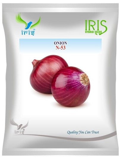 Onion OP Iris N-53