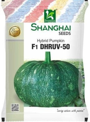 Pumpkin / Kaddoo F1 Dhruv-50