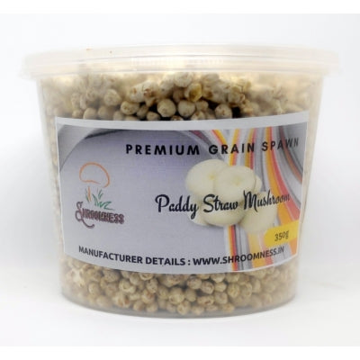 SporeKart Shroomness Paddy Straw Mushroom Spawn (Seeds)