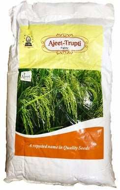 Paddy / Dhan Trupti