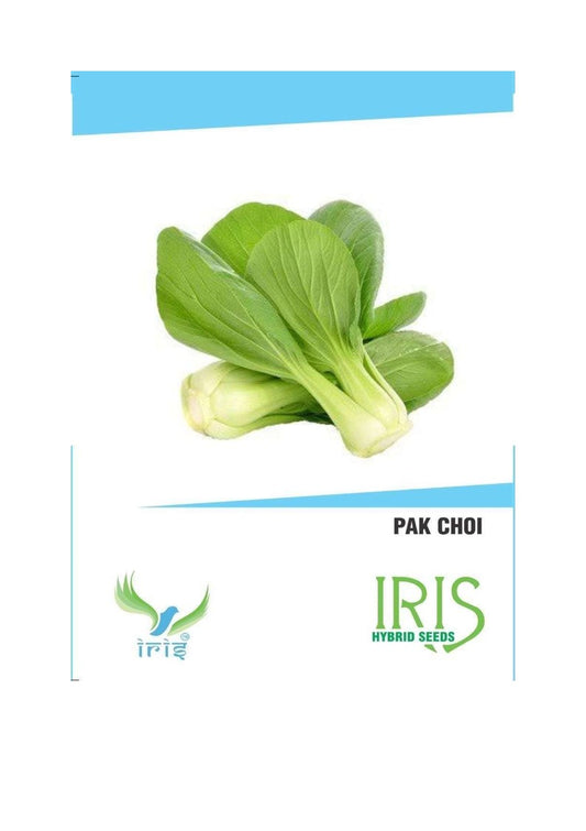 Iris Imported Pakchoi