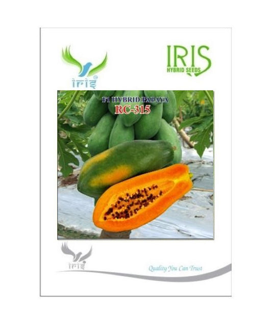Papaya F1 Iris RC-315