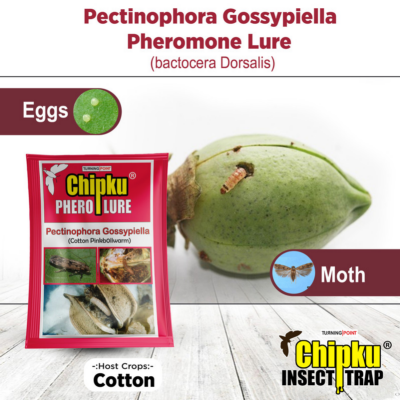 Chipku Pheromone Funnel Trap with Pink Bollworm Lure (Combo Pack of 10)